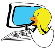 Liz Nix Computer Chick